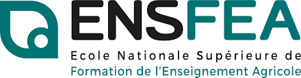 logo ENSFEA