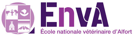 logo ENVA